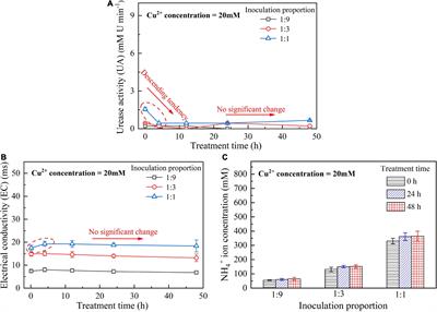 Catalyzing urea hydrolysis using two-step microbial-induced carbonate precipitation for copper immobilization: Perspective of pH regulation